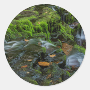 USA, Pennsylvania, Benton, Ricketts Glen State Runt Klistermärke