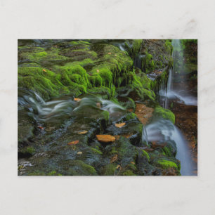 USA, Pennsylvania, Benton, Ricketts Glen State Vykort