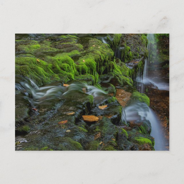 USA, Pennsylvania, Benton, Ricketts Glen State Vykort (Framsida)