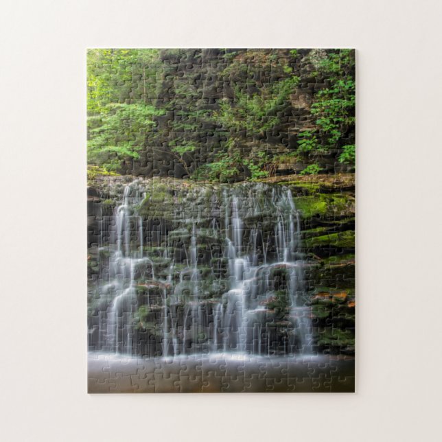 USA, Pennsylvania, Benton. Vattenfall i Ricketts Pussel (Vertikal)