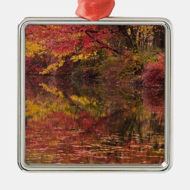 USA, Pennsylvania, Delaware Vatten Gap National Julgransprydnad Metall (Framsidan)