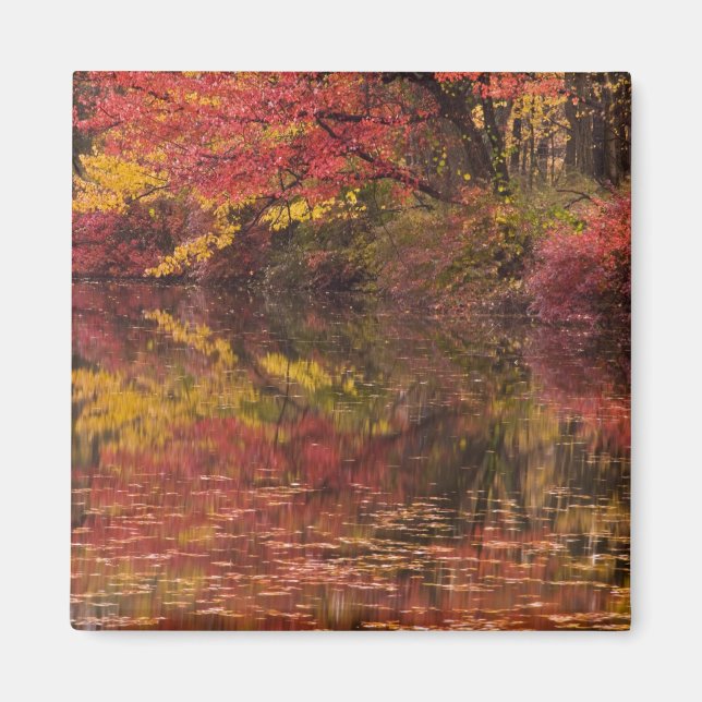 USA, Pennsylvania, Delaware Water Gap National Magnet (Framsidan)