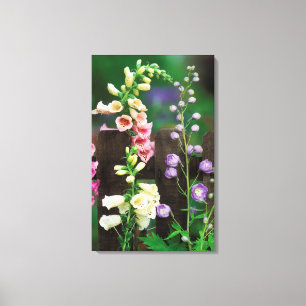 USA, Pennsylvania. Fingerborgsblomma och riddarspo Canvastryck