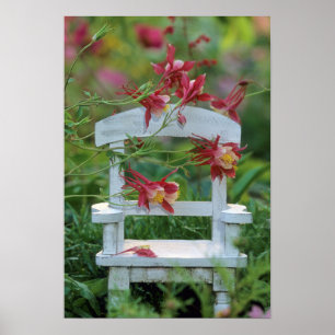 USA, Pennsylvania. Koluminiska blommor och stolar Poster