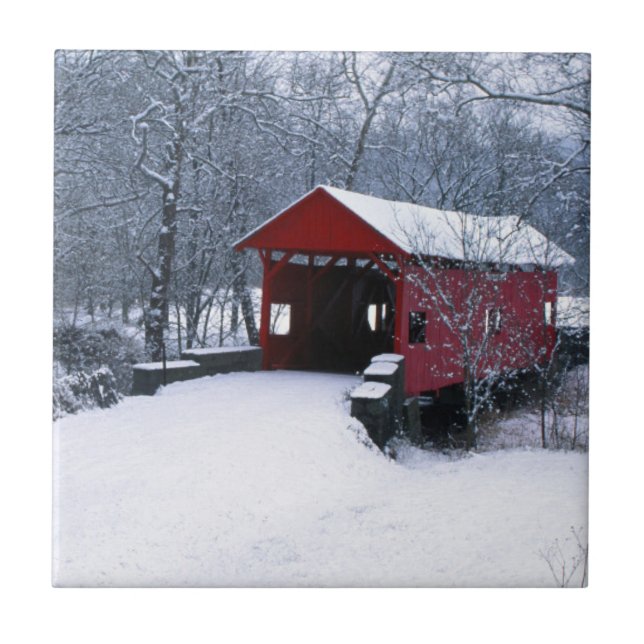 USA, Pennsylvania, Mariana County Kakelplatta (Framsidan)