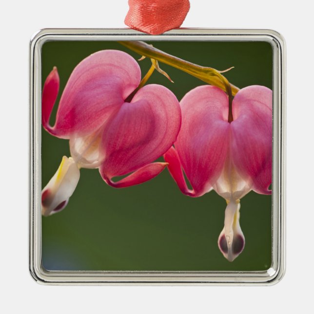 USA, Pennsylvania. Nära två blödningar Julgransprydnad Metall (Framsidan)