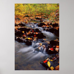 USA, Pennsylvania, Pocono Mountain 2 Poster