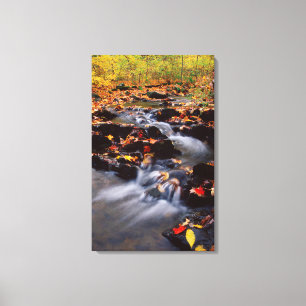 USA, Pennsylvania, Pocono Mountains 2 Canvastryck