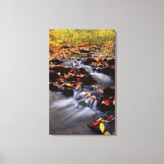 USA, Pennsylvania, Pocono Mountains 2 Canvastryck (Framsida)