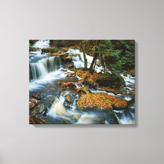 USA, Pennsylvania, Ricketts Glen State Park Canvastryck (Framsida)