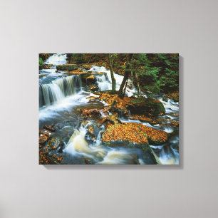 USA, Pennsylvania, Ricketts Glen State Park Canvastryck