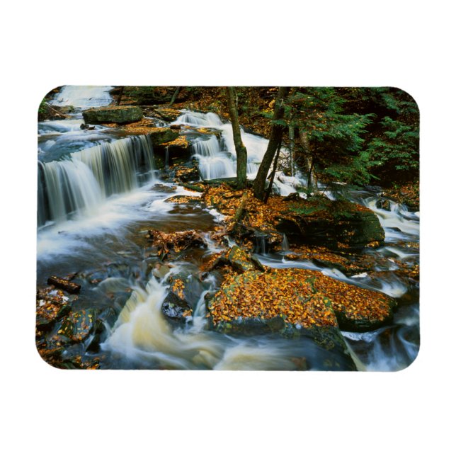 USA, Pennsylvania, Ricketts Glen State Park Magnet (Horisontell)