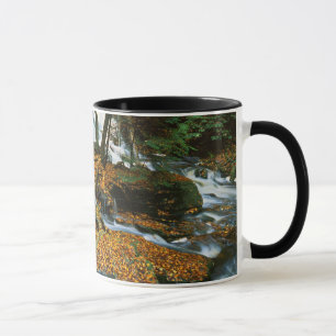 USA, Pennsylvania, Ricketts Glen State Park Mugg