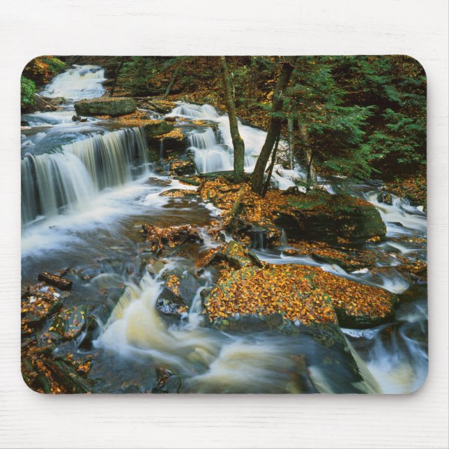 USA, Pennsylvania, Ricketts Glen State Park Musmatta (Framsidan)