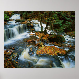 USA, Pennsylvania, Ricketts Glen State Park Poster