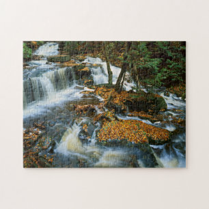 USA, Pennsylvania, Ricketts Glen State Park Pussel