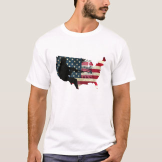 USA pride Tee