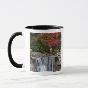 USA, Redmond, Washington. Höstfärger i en park. Mugg