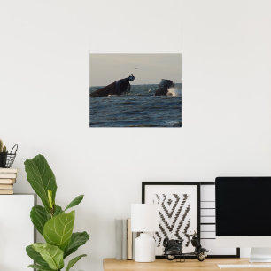 USA:s Atlantus Concrepit Shipwreck Poster