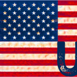 USA:s Flagga USA 4:e juli T Shirt