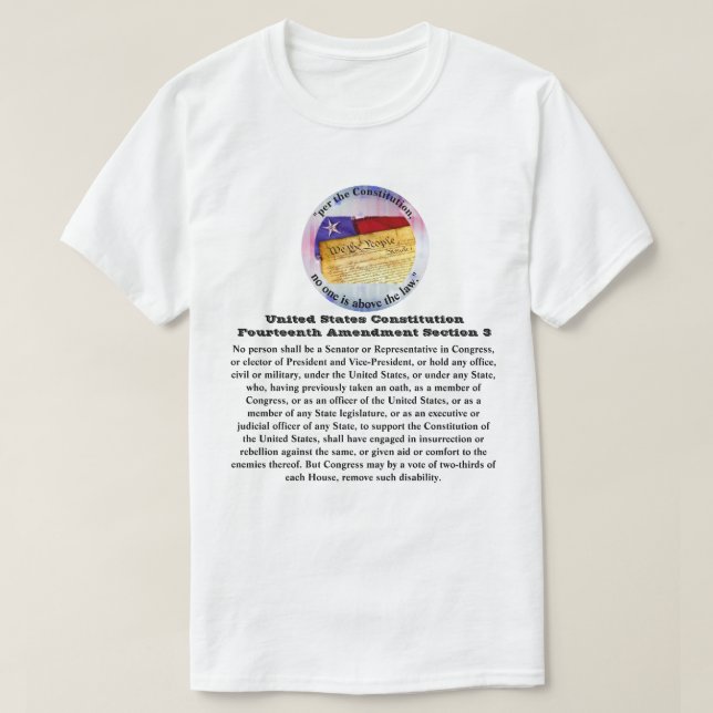 USA:s konstitution Fjortonde ändringsavsnitt 3 T Shirt (Design framsida)
