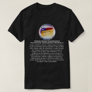USA:s konstitution Fjortonde ändringsavsnitt 3 T Shirt