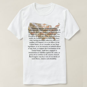 USA:s konstitution Fjortonde ändringsavsnitt 3 T Shirt