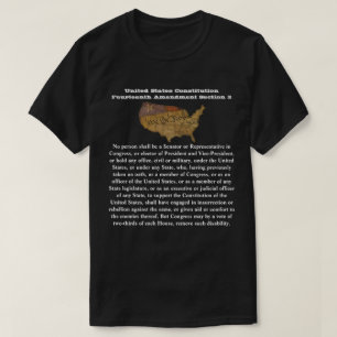 USA:s konstitution Fjortonde ändringsavsnitt 3 T Shirt