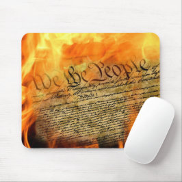 USA:s konstitution i Flames Musmatta