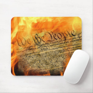 USA:s konstitution i Flames Musmatta