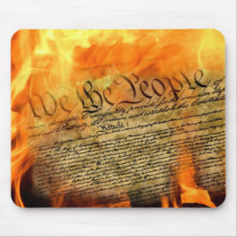 USA:s konstitution i Flames Musmatta