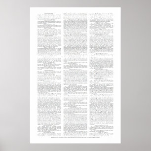 USA:s konstitutionella ändringar Poster