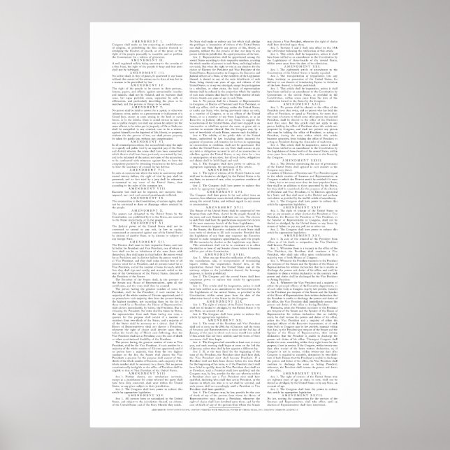 USA:s konstitutionella ändringar Poster (Framsidan)