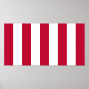 USA:s liberiteter 9 Rand Flagga Poster