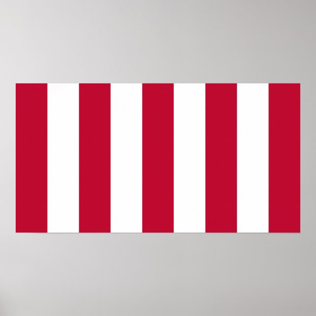 USA:s liberiteter 9 Rand Flagga Poster (Framsidan)