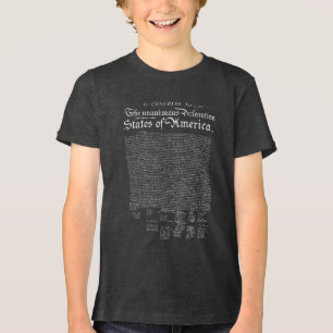 USA:s självständighetsförklaring T Shirt