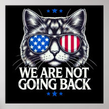 USA:s valdag 2024 kommer vi inte tillbaka till kat