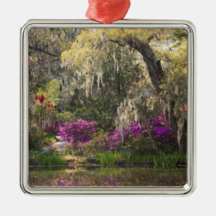 USA, South Carolina, Charleston. Cypressträd 2 Julgransprydnad Metall