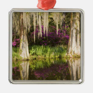 USA, South Carolina, Charleston. Cypressträd Julgransprydnad Metall