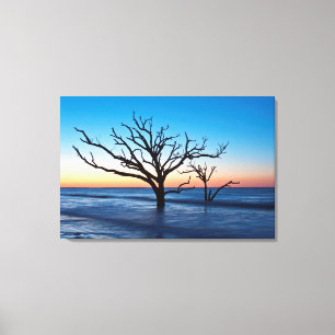 USA, South Carolina, Edisto Island, Botany Bay Canvastryck