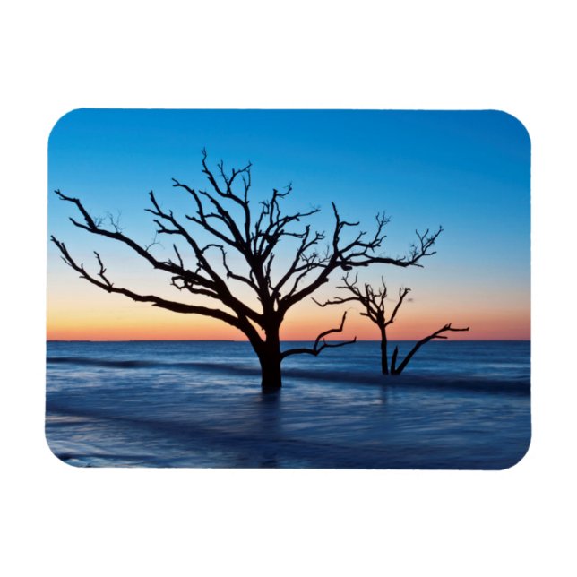 USA, South Carolina, Edisto Island, Botany Bay Magnet (Horisontell)