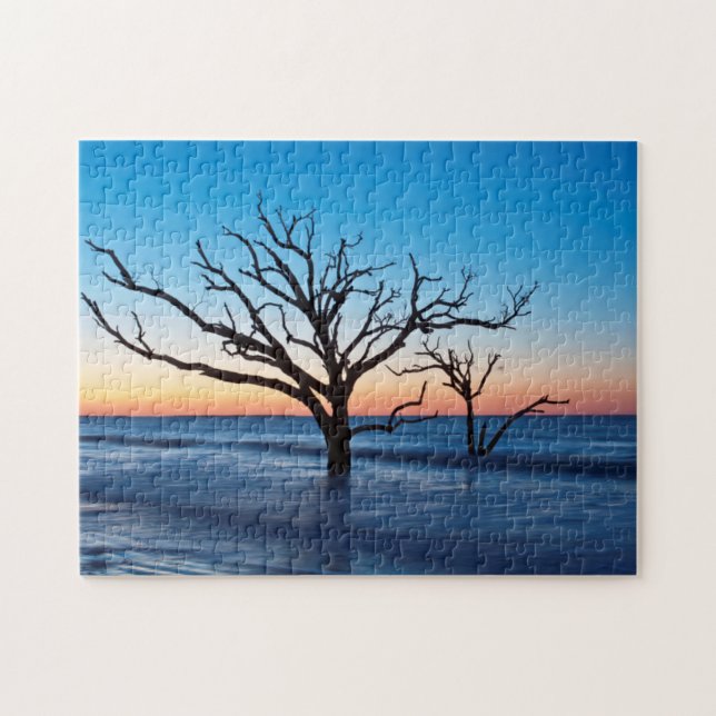 USA, South Carolina, Edisto Island, Botany Bay Pussel (Horisontell)