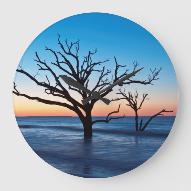 USA, South Carolina, Edisto Island, Botany Bay Stor Klocka (Framsida)