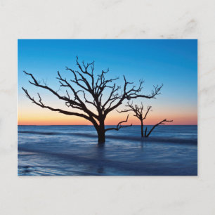 USA, South Carolina, Edisto Island, Botany Bay Vykort