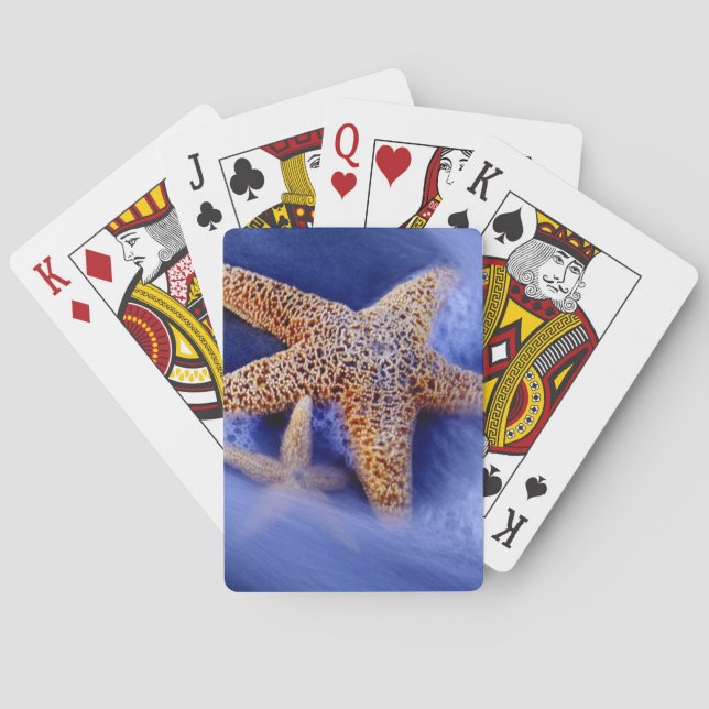 USA, South Carolina, Hilton Head Island. Två Casinokort (Baksidan)