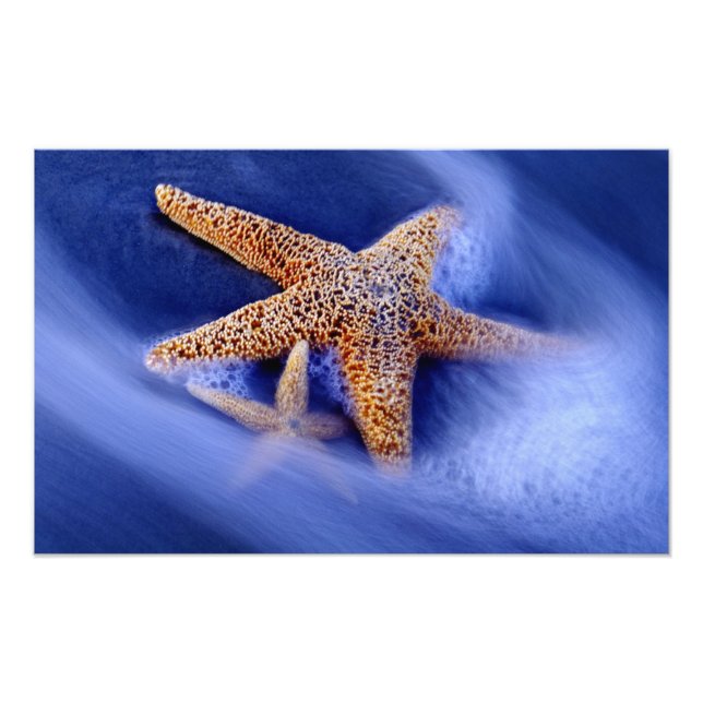 USA, South Carolina, Hilton Head Island. Två Fototryck (Framsidan)