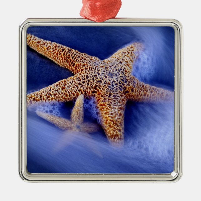 USA, South Carolina, Hilton Head Island. Två Julgransprydnad Metall (Framsidan)