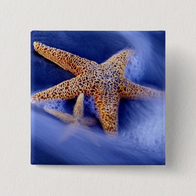 USA, South Carolina, Hilton Head Island. Två Knapp (Framsida)