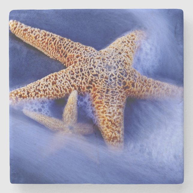 USA, South Carolina, Hilton Head Island. Två Stenunderlägg (Framsidan)