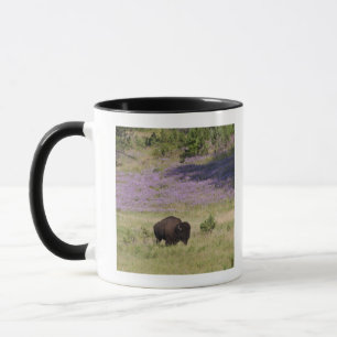 USA South Dakota, amerikanbison (Bisonbisonen) Mugg